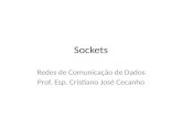 Sockets Redes de Comunicação de Dados Prof. Esp. Cristiano José Cecanho.