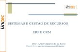 SISTEMAS E GESTÃO DE RECURSOS ERP E CRM Prof. André Aparecido da Silva Disponível em: //.
