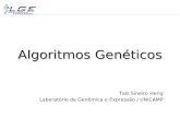 Algoritmos Genéticos Taís Sineiro Herig Laboratório de Genômica e Expressão / UNICAMP.