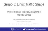 Grupo 5: Linux Traffic Shape Mirelle Freitas, Mateus Alexandre e Mateus Santos Curso: Graduação tecnológica em Segurança da Informação Professor: Érico.