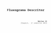 Fluxograma Descritor Núcleo 15 Chapecó, 2 o semestre 2013.