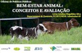 Oficina de Políticas Públicas BEM-ESTAR ANIMAL: CONCEITOS E AVALIAÇÃO Lívia Carolina Magalhães Silva Departamento de Zootecnia, FCAV/UNESP, Jaboticabal-SP.
