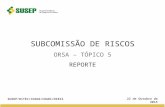 S UBCOMISSÃO DE R ISCOS ORSA – T ÓPICO 5 R EPORTE SUSEP/DITEC/CGSOA/COARI/DIRIS 22 de Outubro de 2015.
