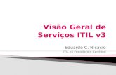 Eduardo C. Nicácio ITIL v3 Foundation Certified.  As melhores práticas do ITIL abrangem cinco processos de suporte a serviços, além do papel do Service.