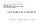 Sociedade Internacional Atuação no plano internacional Fundação Educacional Serra dos Órgãos Centro Universitário Serra dos Órgãos Centro de Ciências Humanas.