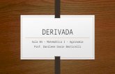DERIVADA Aula 04 – Matemática I – Agronomia Prof. Danilene Donin Berticelli.