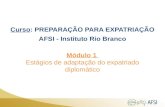 Curso: PREPARAÇÃO PARA EXPATRIAÇÃO AFSI - Instituto Rio Branco Módulo 1 Estágios de adaptação do expatriado diplomático.