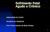 1 Sofrimento Fetal Agudo e Crônico Maternidade do HUGG Disciplina de obstetrícia Prof. Pedro Octavio de Britto Pereira.