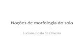 Noções de morfologia do solo Luciane Costa de Oliveira.
