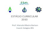 ESTÁGIO CURRICULAR 2010 Prof. Marcelo Ribeiro Barison Coord. Estágios IRN.