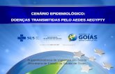 CENÁRIO EPIDEMIOLÓGICO: DOENÇAS TRANSMITIDAS PELO AEDES AEGYPTY Superintendência de Vigilância em Saúde Secretaria de Estado da Saúde de Goiás.