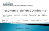 Professor Julio Cesar Araujo da Silva Junior Anexo I - O Valor Econômico dos Recursos Naturais. Chapecó, 2014.