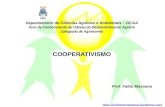 COOPERATIVISMO Prof. Fábio Massena  Departamento de Ciências Agrárias e Ambientais – DCAA Área de Conhecimento de.