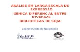 ANÁLISE EM LARGA ESCALA DE EXPRESSÃO GÊNICA DIFERENCIAL ENTRE DIVERSAS BIBLIOTECAS DE SOJA Leandro Costa do Nascimento.