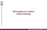 CEA462 – Sistemas de Apoio à Decisão – Slide 1 Universidade Federal de Ouro Preto Mineração de Dados (Data Mining)