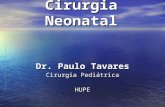 Cirurgia Neonatal Dr. Paulo Tavares Cirurgia Pediátrica HUPE HUPE.