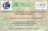 Plataformas Termoquímica e Bioquímica para Uso da Biomassa Concepção, Rendimento e Economia Electo Eduardo Silva Lora Doris del Socorro Obando Coral Mateus.