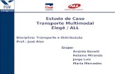 Estudo de Caso Transporte Multimodal Elegê / ALL Disciplina: Transporte e Distribuição Prof.: José Alex Grupo: Andréa Novelli Helaine Miranda Jorge Luiz.