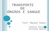 TRANSPORTE DE ÓRGÃOS E SANGUE Prof: Manoel Roman Camila Stocco Gislene Berto.
