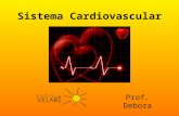 Sistema Cardiovascular Prof. Debora. Funções Transporte de gases, nutrientes, hormônios, anticorpos, toxinas e resíduos. Manutenção da temperatura, hidratação.