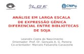 ANÁLISE EM LARGA ESCALA DE EXPRESSÃO GÊNICA DIFERENCIAL ENTRE BIBLIOTECAS DE SOJA Leandro Costa do Nascimento Orientador: Prof. Dr. Gonçalo A. G. Pereira.