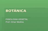 BOTÂNICA FISIOLOGIA VEGETAL Prof. Omar Medina. HORMÔNIOS VEGETAIS  Hormônio vegetal é um composto orgânico de ocorrência natural, produzido na planta,