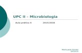 UPC II – Microbiologia Aula prática 4 Maria José Correia 19/10/15 2015/2016.