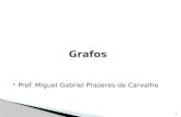Prof. Miguel Gabriel Prazeres de Carvalho 1. 2 Redes Sociais GPS Para o correio. Para Viajantes. Pesquisas Biológicas. Distribuição de Tarefas. Recomendações.