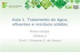 Aula 1. Tratamento de água, efluentes e resíduos sólidos Biotecnologia Módulo 3 Prof.ª. Chayane C. de Souza.