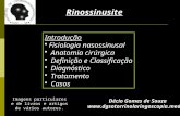 Décio Gomes de Souza  Introdução Fisiologia nasossinusal Anatomia cirúrgica Definição e Classificação Diagnóstico Tratamento.