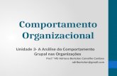 Comportamento Organizacional Unidade 3- A Análise do Comportamento Grupal nas Organizações Prof.ª MS Adriana Bortolon Carvalho Cardoso adribortolon@gmail.com.