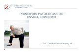 PRINCIPAIS PATOLOGIAS DO ENVELHECIMENTO Prof. Carolina Perez Campagnoli.