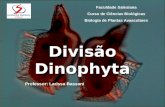 Faculdade Salesiana Curso de Ciências Biológicas Biologia de Plantas Avasculares Professor: Larissa Bassani Divisão Dinophyta.