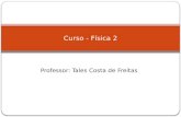 Professor: Tales Costa de Freitas Curso - Física 2.