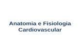 Anatomia e Fisiologia Cardiovascular. A circulação sanguínea é um sistema FECHADO: Coração; Leito ou sistema arterial; Leito ou sistema capilar; Leito.