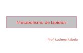 Metabolismo de Lipídios Prof. Luciene Rabelo.