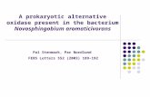 A prokaryotic alternative oxidase present in the bacterium Novosphingobium aromaticivorans Pal Stenmark, Par Nordlund FEBS Letters 552 (2003) 189-192.