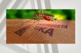 DENGUE A dengue é um dos principais problemas de saúde pública no mundo. Doença infecciosa aguda causado por um vírus Há quatro sorotipos do vírus DenV.