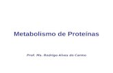 Metabolismo de Proteínas Prof. Ms. Rodrigo Alves do Carmo.