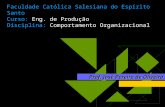 Faculdade Católica Salesiana do Espírito Santo Curso: Eng. de Produção Disciplina: Comportamento Organizacional Prof. José Pereira de Oliveira.