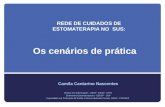 Os cenários de prática Camila Cantarino Nascentes Mestre em Enfermagem - DESP - EEAN - UFRJ Enfermeira Estomaterapeuta - EEUSP - USP Especialista em Promoção.