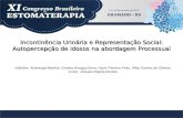 Incontinência Urinária e Representação Social: Autopercepção de idosos na abordagem Processual Nathália Alvarenga-Martins; Cristina Arreguy-Sena, Paulo.