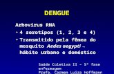 DENGUE Arbovirus RNA 4 sorotipos (1, 2, 3 e 4) Transmitido pela fêmea do mosquito Aedes aegypti → hábito urbano e doméstico Saúde Coletiva II – 5ª fase.