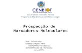 Universidade Federal de Pelotas Programa de Pós-Graduação em Biotecnologia Prof ° Colaborador: Luciano Carlos da Maia MELHORAMENTO VEGETAL DEPARTAMENTO.