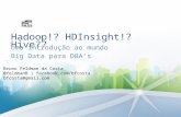 Hadoop!? HDInsight!? Hive?? Uma introdução ao mundo Big Data para DBA’s Bruno Feldman da Costa @feldmanB | facebook.com/bfcosta bfcosta@gmail.com.