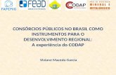 CONSÓRCIOS PÚBLICOS NO BRASIL COMO INSTRUMENTOS PARA O DESENVOLVIMENTO REGIONAL: A experiência do CODAP Viviane Macedo Garcia.