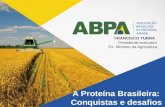 A Proteína Brasileira: Conquistas e desafios FRANCISCO TURRA Presidente-executivo Ex- Ministro da Agricultura.