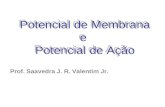 Potencial de Membrana e Potencial de Ação Prof. Saavedra J. R. Valentim Jr.