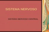 SISTEMA NERVOSO SISTEMA NERVOSO CENTRAL. Partes: Encéfalo Medula Espinhal transmite mensagens do e para o encéfalo responsável pelos reflexos.