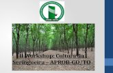 II Workshop: Cultura da Seringueira – APROB-GO/TO.